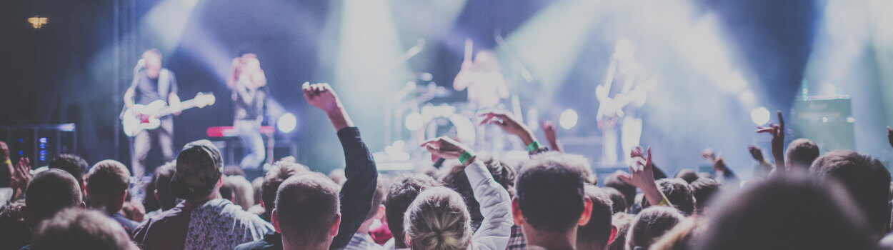 Concert Crowd