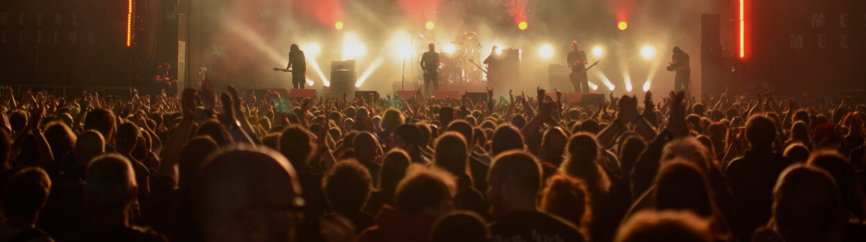 crowd of people at concert