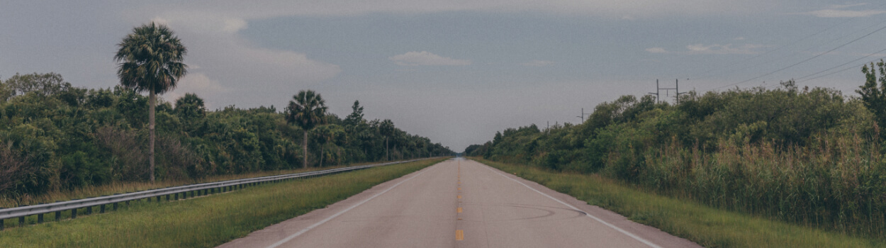 a long road through a tropical paradise